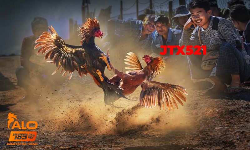 Jtx521. Com - link vào đá gà jtx521 mới nhất 2025 2 Ưu điểm của jtx521 và sv388