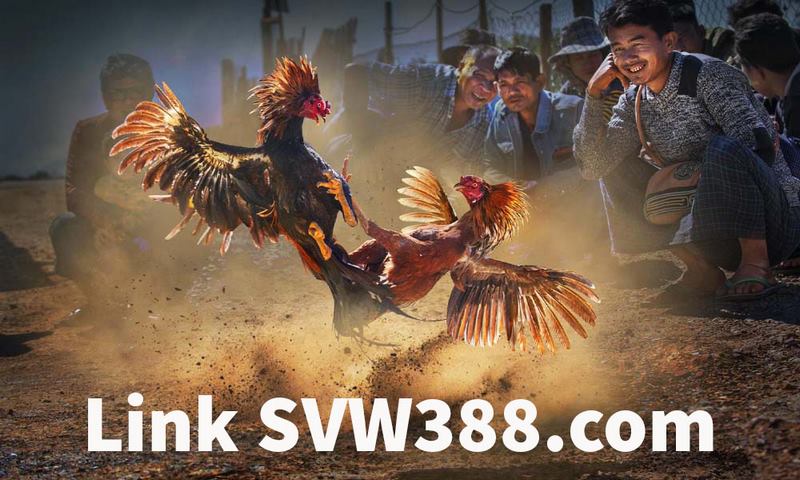3 giây đăng nhập cá cược sv388 siêu nhanh với link truy cập swv388 4 Link swv388. Com truy cập nhà cái sv388