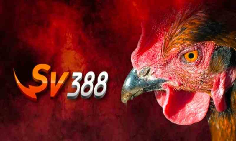 Vnvs388. Com - đường link mới nhất truy cập vào nhà cái sv388 4 Vnvs388. Com là link truy cập vào nhà cái sv388